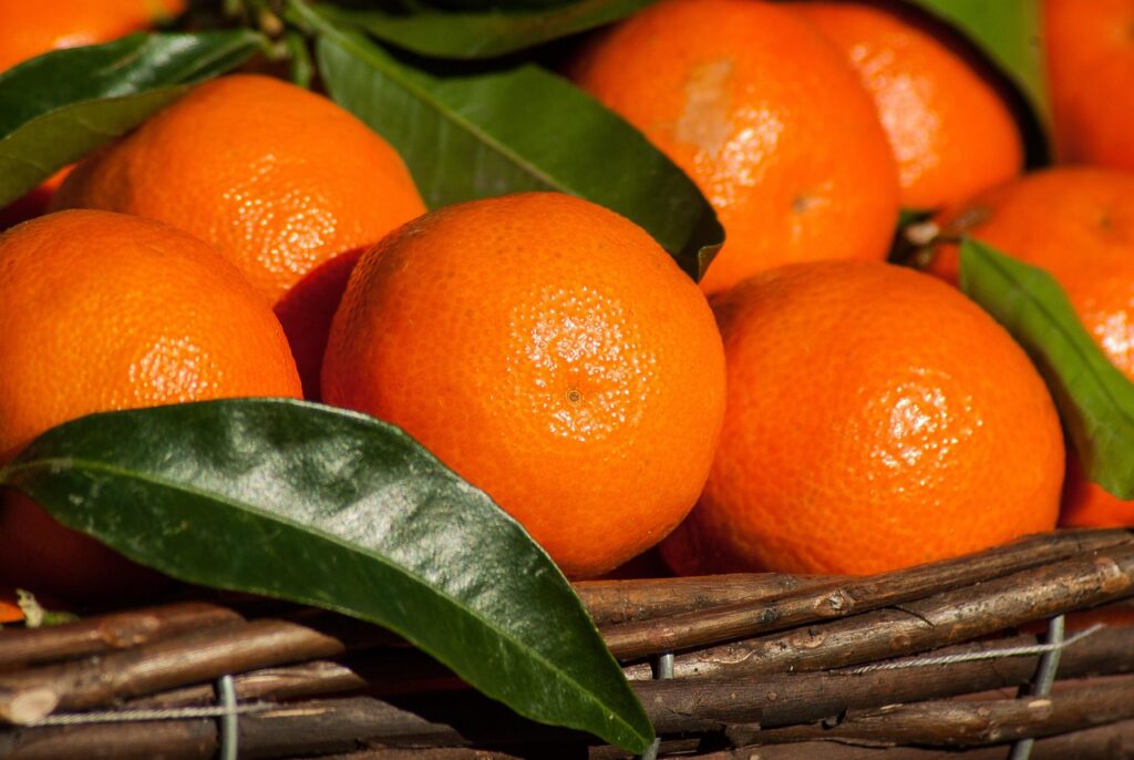 fruit, clementines, citrus, mandarins, fruit, clementines, clementines, citrus, citrus, mandarins, mandarins, mandarins, mandarins, mandarins