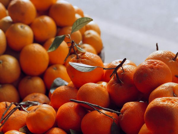 Vibrant display of fresh oranges and tangerines in natural light.